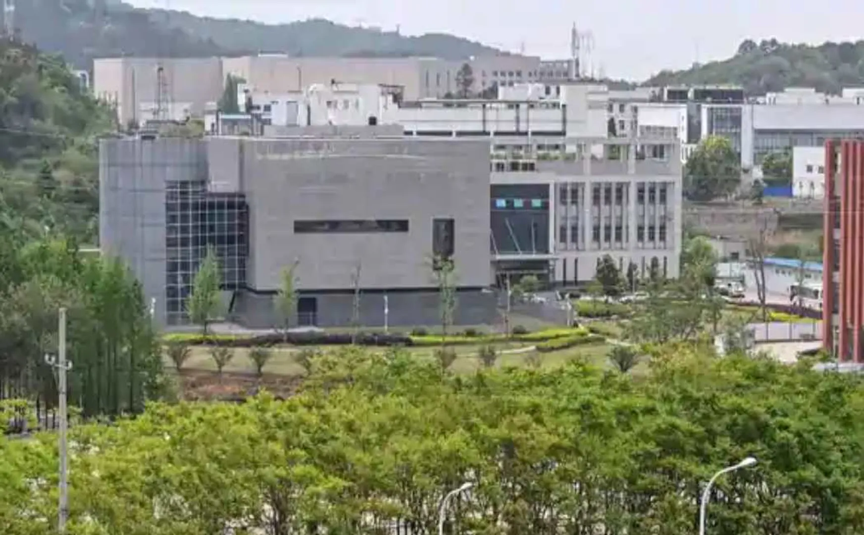 wuhan lab